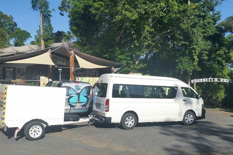 Airport Transfer To Or From Cairns Hotels For Up To 13 People - Great Ocean Road Restaurant 4