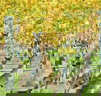 Margaret River Indulge and Discover Day Tour - Great Ocean Road Restaurant