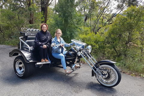 Blue Mountains 1-Hour Trike Tour Of Three Sisters - Great Ocean Road Restaurant 1