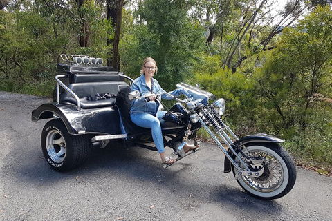 Blue Mountains 1-Hour Trike Tour Of Three Sisters - Great Ocean Road Restaurant 4