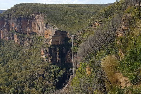 Blue Mountains 1-Hour Trike Tour Of Three Sisters - Great Ocean Road Restaurant 5