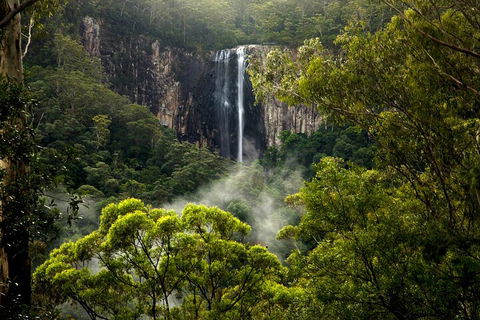 Hinterland Magic & Glow-worm Experience - Great Ocean Road Restaurant 4