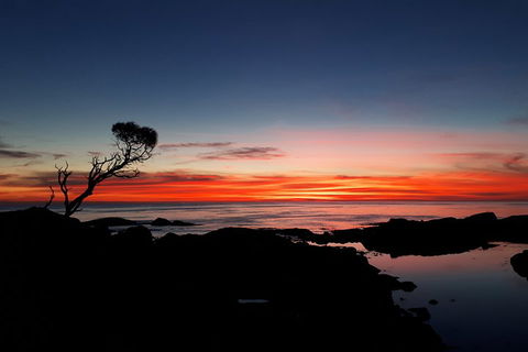3-Day Bay Of Fires Photography Workshop From Hobart - Great Ocean Road Restaurant 1