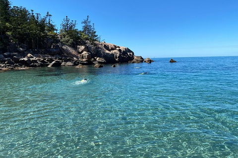 Aquascene Magnetic Island Discovery Tour - Great Ocean Road Restaurant 5