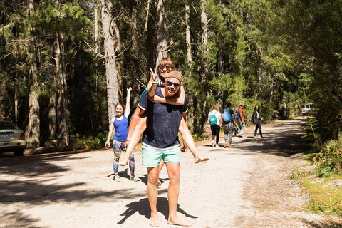 7-Day Best Of Tasmania Adventure Experience From Hobart (flexible Ticket) - Great Ocean Road Restaurant 5