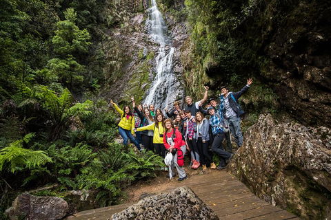 5-Day Lap Of Tasmania Tour From Hobart (flexible Ticket) - Great Ocean Road Restaurant 0