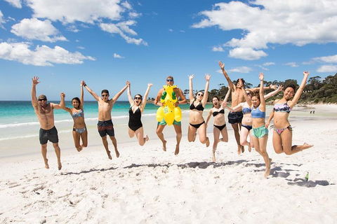 5-Day Lap Of Tasmania Tour From Hobart (flexible Ticket) - Great Ocean Road Restaurant 4