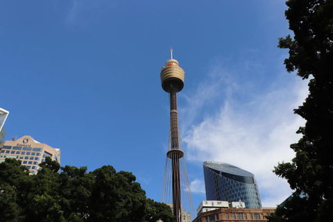 Private Sydney City Customized Tour - Great Ocean Road Restaurant 0