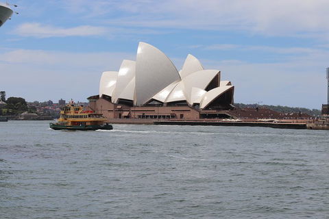 Private Sydney City And Bondi Beach Half Day Tour - Great Ocean Road Restaurant 5