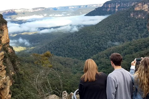 Blue Mountains Private Tour - Wild Kangaroos, Waterfalls And The Three Sisters - Great Ocean Road Restaurant 3