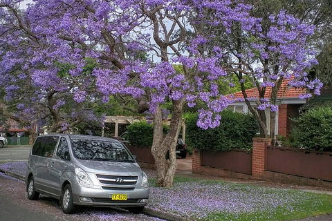 Sydney Secrets & Bondi Beach Private 4 Hr Morning With Personalised Sydney Tours - Great Ocean Road Restaurant 0