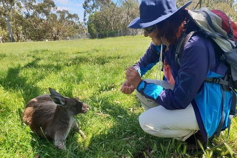 Mount Lofty Hike And Cleland Wildlife Park Day Trip From Adelaide - Great Ocean Road Restaurant 1