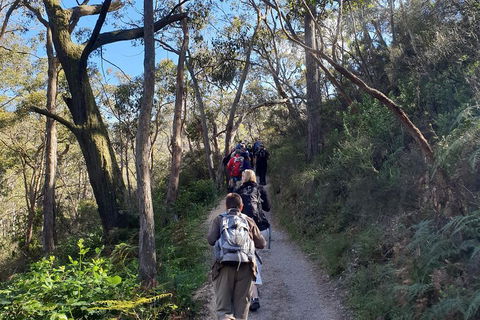 Mount Lofty Hike And Cleland Wildlife Park Day Trip From Adelaide - Great Ocean Road Restaurant 3