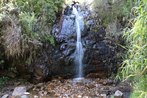 Mount Lofty Hike And Cleland Wildlife Park Day Trip From Adelaide - Great Ocean Road Restaurant 4