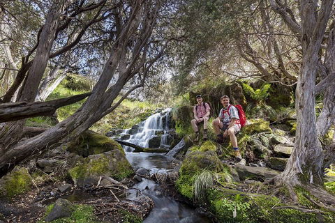 LGBT+ Friendly 3 Day Tour The Grampians, Daylesford & Ballarat - Great Ocean Road Restaurant 3