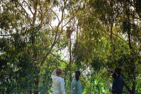 LGBT+ Friendly 3 Day Tour The Grampians, Daylesford & Ballarat - Great Ocean Road Restaurant 4