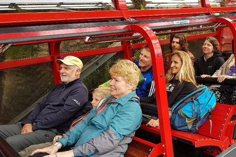 Blue Mountains Ultimate One-Day Tour - Great Ocean Road Restaurant 0