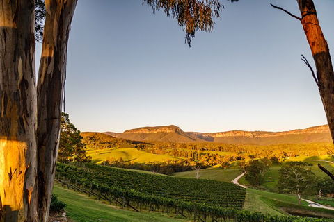 Taste Of The Blue Mountains - Lunch & Wine Tasting, Beer, Cider & Gin Tasting - Great Ocean Road Restaurant 1