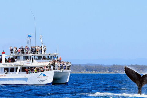 Whale Watching Jervis Bay - Great Ocean Road Restaurant 4