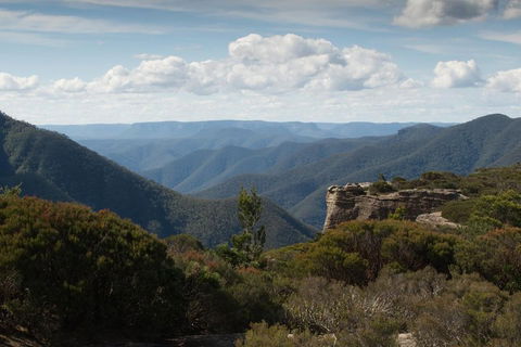 Inside The Greater Blue Mountains World Heritage - A Private Wildlife Safari Overnight - Great Ocean Road Restaurant 5