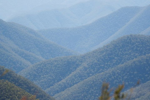 From The Mountains To The Bay - 4 Day Rediscovery Private Tour - Great Ocean Road Restaurant 1