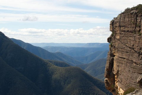 Inside The Greater Blue Mountains World Heritage - A Wildlife Safari Overnight - Great Ocean Road Restaurant 4