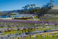 Private Hobart Discover South East Food and Scenic Tour