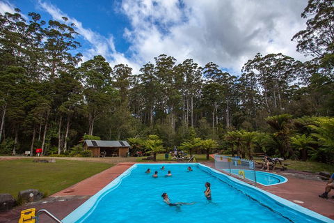 Tahune Airwalk Active Day Trip From Hobart Including Hastings Caves - Great Ocean Road Restaurant 0