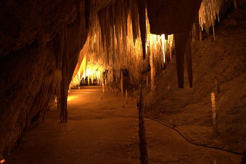 Tahune Airwalk Active Day Trip From Hobart Including Hastings Caves - Great Ocean Road Restaurant 4