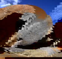 Full-Day Kangaroo Island Safari from Penneshaw - Great Ocean Road Restaurant