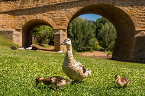 Richmond Historic Afternoon Tour From Hobart - Great Ocean Road Restaurant 1
