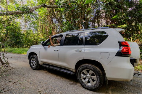 Full Day Cooktown Private Tour - Great Ocean Road Restaurant 3