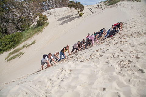 6-Day Tasmanian Explorer Adventure Tour From Hobart - Great Ocean Road Restaurant 2