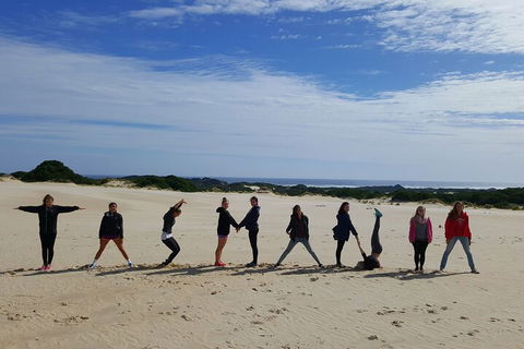 5-Day Best Of Tasmania Tour From Hobart - Great Ocean Road Restaurant 4