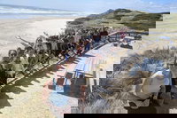 3 Day Tasmanian Wild West Coast Tour from Hobart to Launceston