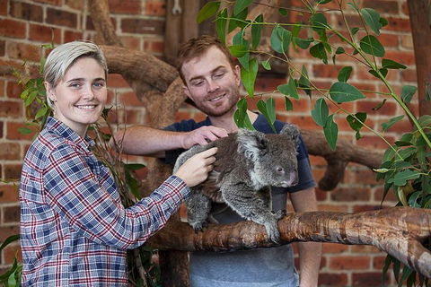 Private Tour: Blue Mountains Day Trip From Sydney - Great Ocean Road Restaurant 0