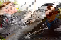 Bonorong Wildlife Park and Richmond Afternoon Tour from Hobart