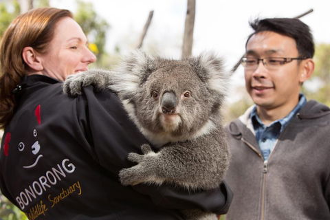 Bonorong Wildlife Park And Richmond Afternoon Tour From Hobart - Great Ocean Road Restaurant 0