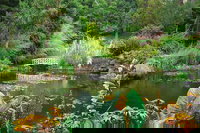 Hobart Half-Day Sightseeing Coach Tram Tour