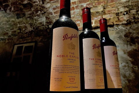 The Ultimate Penfolds Magill Estate Wine & Underground Cellar Tour - Great Ocean Road Restaurant 5