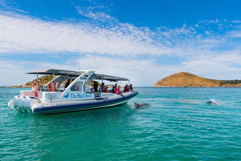 Southern Ocean Adventure From Victor Harbor - Great Ocean Road Restaurant 1