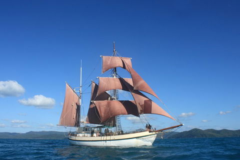 Sydney Harbour Tall Ship Whale & Sail - Whale Watching Cruise - Great Ocean Road Restaurant 1