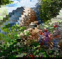 3 Day Cape Tribulation  Cooktown Tour from Cairns or Port Douglas - Great Ocean Road Restaurant