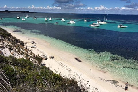 Experience Rottnest With Ferry & Bike Hire From Perth Or Fremantle - Great Ocean Road Restaurant 0