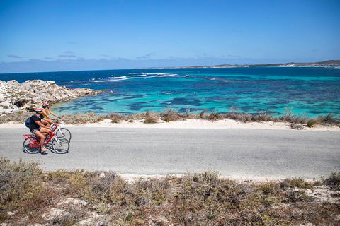 Experience Rottnest With Ferry & Bike Hire From Perth Or Fremantle - Great Ocean Road Restaurant 2