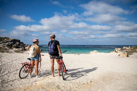 Experience Rottnest With Ferry & Bike Hire From Perth Or Fremantle - Great Ocean Road Restaurant 5