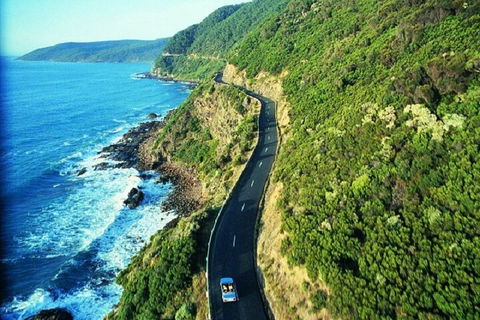 Melbourne Super Saver: Great Ocean Road + Mornington Peninsula + Attraction Pass - Great Ocean Road Restaurant 0