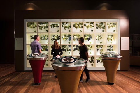 Australian Wine Discovery Tour With Tastings - Great Ocean Road Restaurant 4