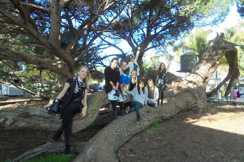 1/2 Day Swan Valley Wine Cheese & Chocolate Tour Inc Afternoon Cruise To Perth - Great Ocean Road Restaurant 0