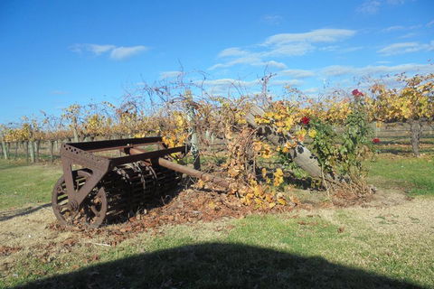 Swan Valley Tour From Perth: Wine, Beer And Chocolate Tastings - Great Ocean Road Restaurant 3